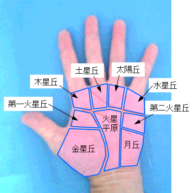 手掌大鱼际横纹竖纹手相_手相月丘有横纹_小拇指多一条横纹手相图解