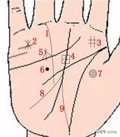 手相生命线上有上升线_手相手腕线三角纹_生命线有钻石纹的手相图解