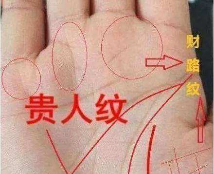 （李向东）男人手相怎么看财运，双手带财是怎样的？