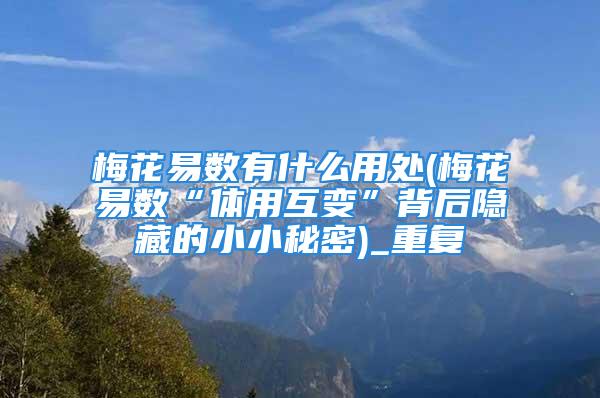 梅花易数体用互变互变背后隐藏的小小秘密三分地