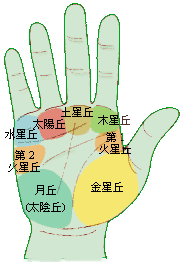 范冰冰手相纹路复杂，直观上就是思绪较复杂的人