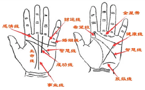 手背有红痣手相图解男性_女人右手背有5颗痣图解_手相月丘有横纹图解