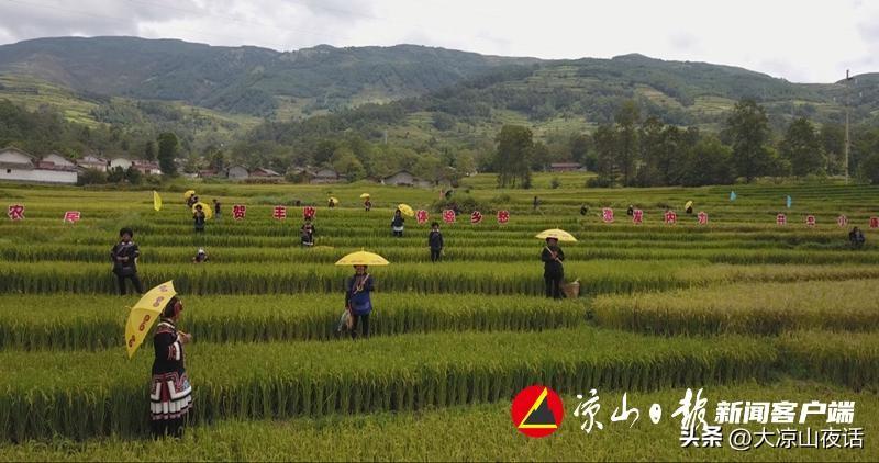 朝鲜节日和风俗传统_迤沙拉传统节日_传统文化的节日介绍