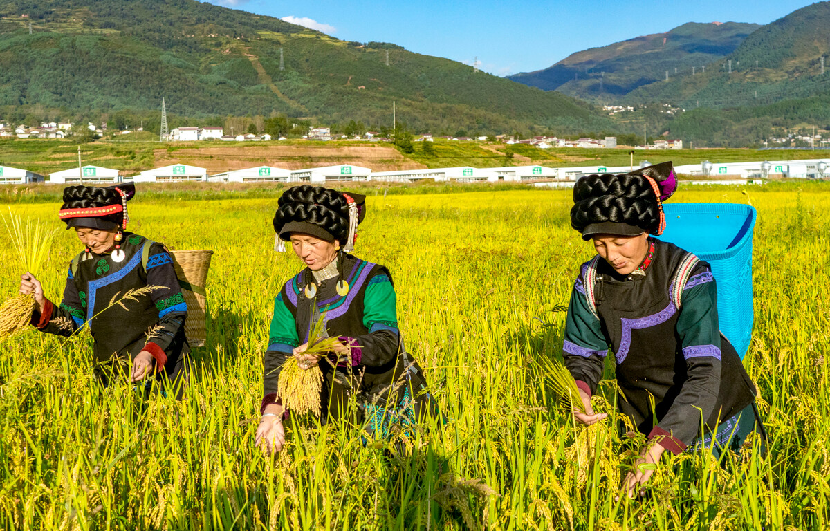 传统文化的节日介绍_朝鲜节日和风俗传统_迤沙拉传统节日