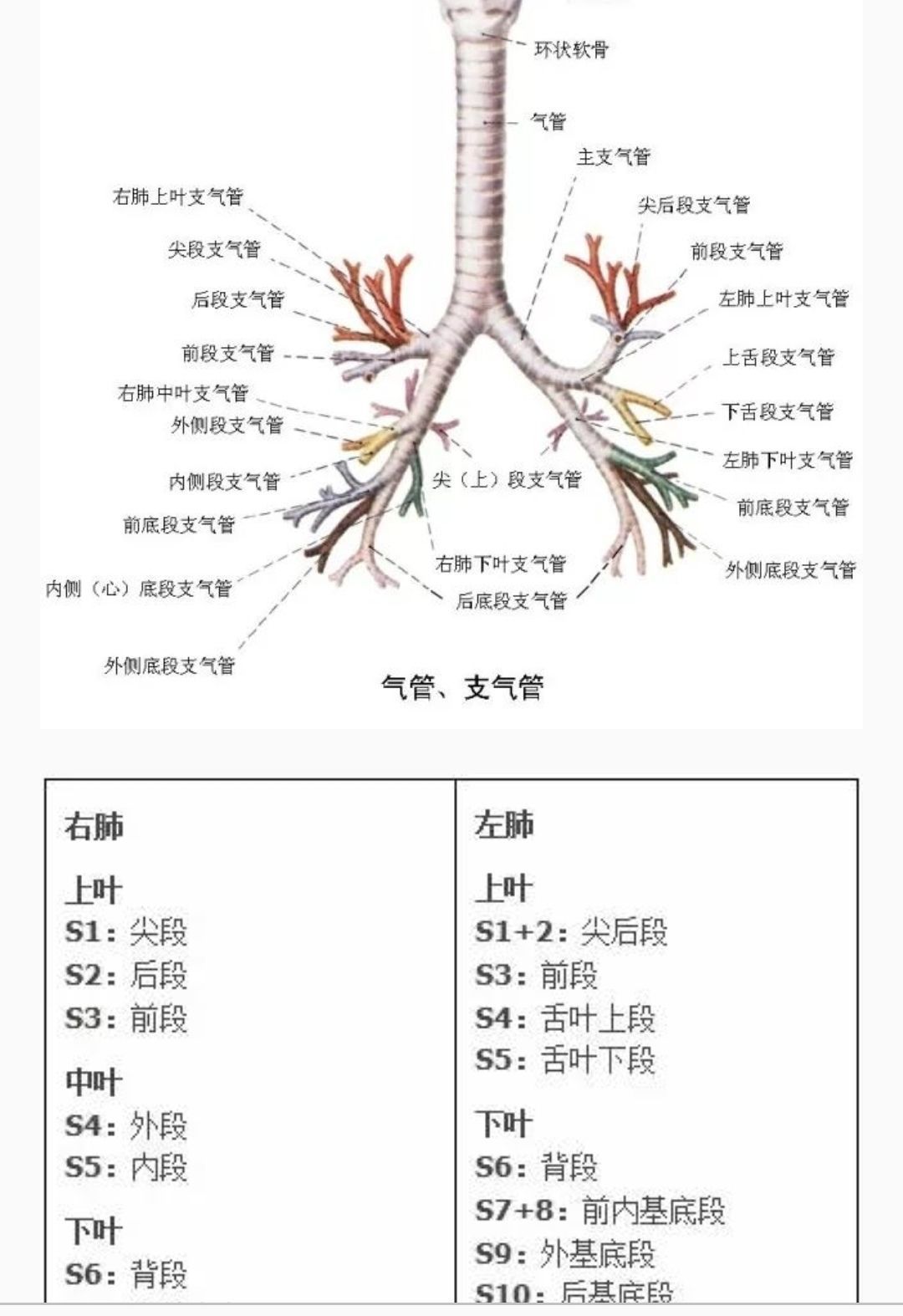 十干克应具体信息之辛金_庚金 辛金_庚金辛金