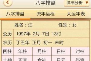 元亨利贞八字排盘系统:元亨利贞在线八字排盘