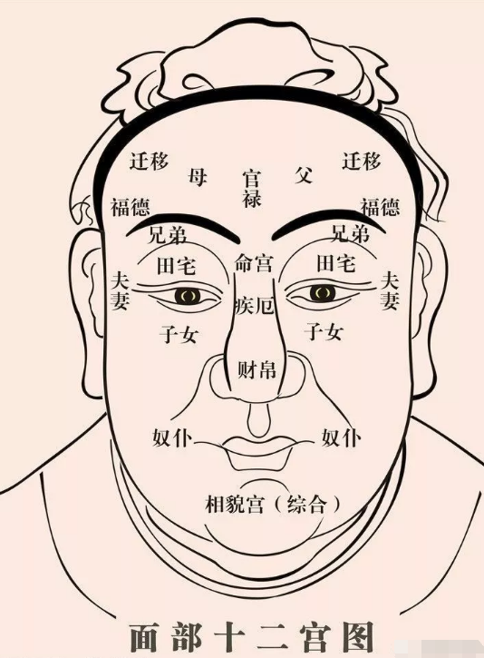 面相宫位详解_面相分析运势_八字事业宫是哪里的