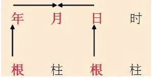 八字怎么看财运旺衰时间_八字中的衰代表什么_八字衰旺排盘查询