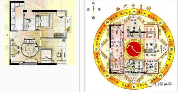 家里怎么摆风水招财树_家里放招财树_风水摆招财树家里好不好