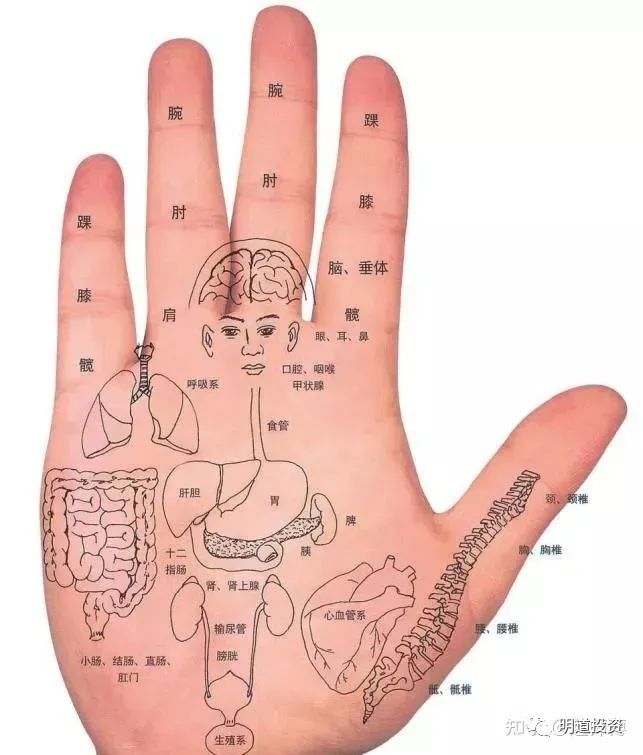 手臂图解大全_手臂看相图解_右手臂长痣手相图男人图解