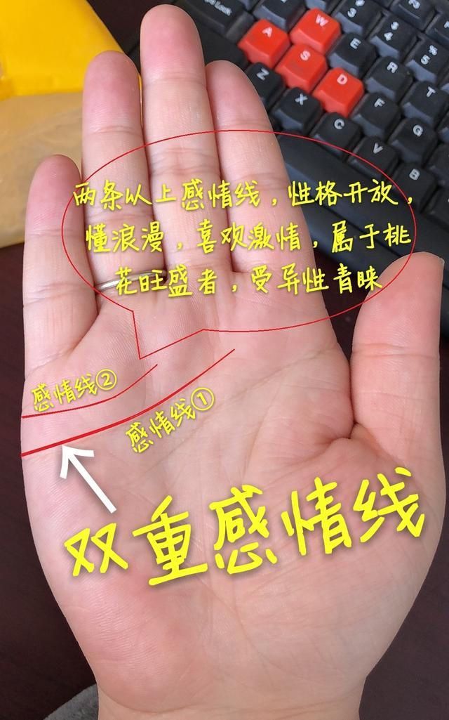 婚姻最好手相图解大全_手相图解婚姻线图解_图解大全手相婚姻好吗