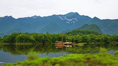 盲派论大运流年的作用关系_盲派大运流年怎么看_盲派八字大运流年断