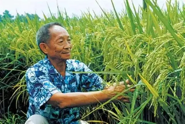 袁隆平的人物简介和获奖记录_袁隆平人物概况_中国历史人物袁隆平