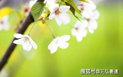 风水堂:八字伤官格的喜忌和取用神