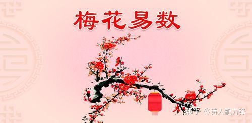 梅花易数解卦密法_梅花易数解卦法秘论_梅花易数解卦卦例