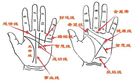 图解条纹大全手相男生图片高清_条纹图画大全_手相条纹大全男生图片图解