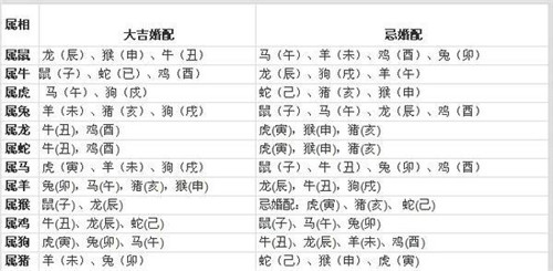 生肖配对姻缘测试_生肖星座配对姻缘查询网站_配对生肖姻缘查询星座网站最新