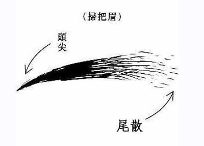 眉毛面相图解学生女_面相学眉毛图解_眉毛面相学图片