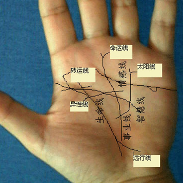 手相掌纹大全男生图解图_手相图解男掌纹_手相图解男生