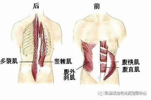 腰部图示_腰部图_腰部长痣的痣相图解