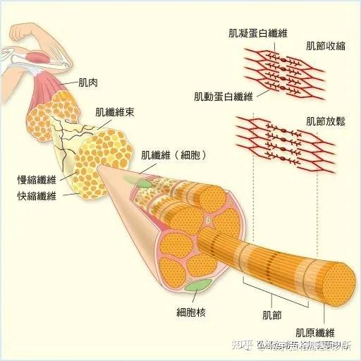 腰部图示_腰部图_腰部长痣的痣相图解