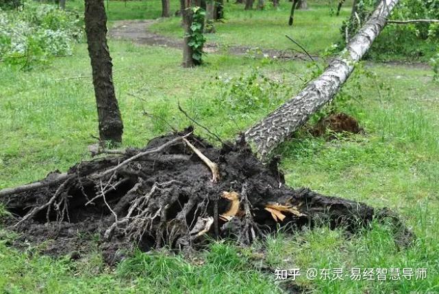 流年和八字犯三刑有三合_流年与八字相刑_刑合流年是什么意思