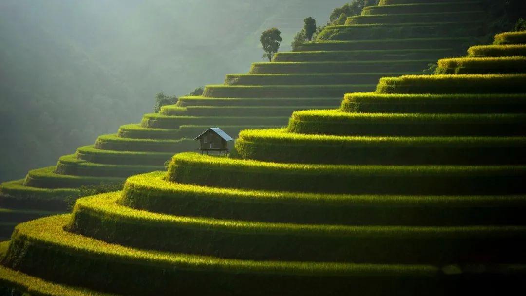 家居风水催财布局_风水催丁秘法_家居风水催丁布局