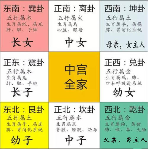 八字合婚是看日柱还是五行_八字五行日柱合婚看是吉还是凶_八字日柱合婚是看天干还是地支