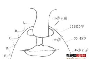 鼻梁是财富之路好的鼻型应该是鼻梁