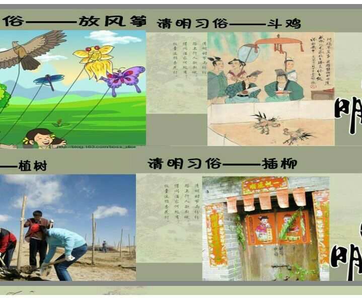 2004年的清明你去挂青了吗吗？民间有没有习俗