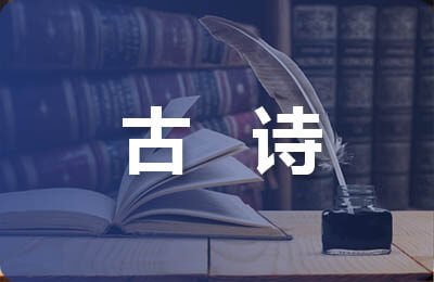 2016年六安金安区事业单位面试模拟试题