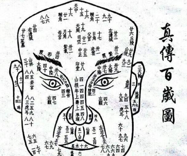 女人出轨后的面相特征_有福气的女人面相特征_丑恶女人面相特征