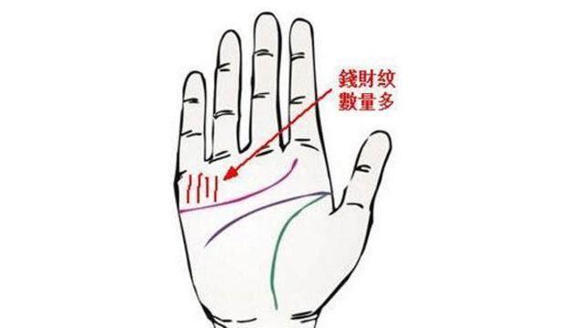 手相干净手纹少_手相爪字手纹_富贵无比手相图解女人