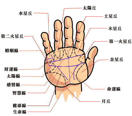 女性右手相分析_手相右手女生_女人右手手相学图解