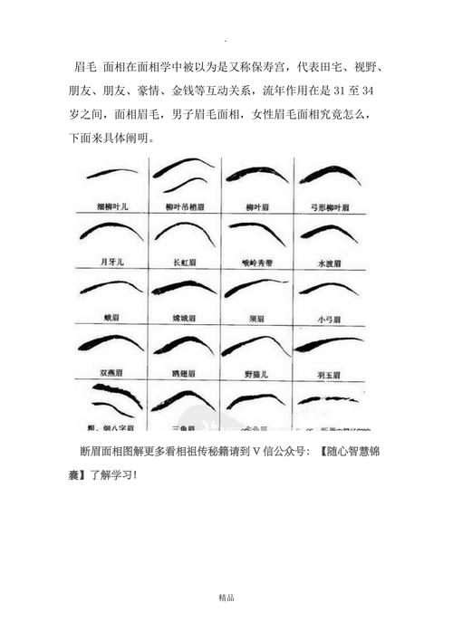 眉毛面部分析脸是中国文化传统中一种非常重要的人格判断方式