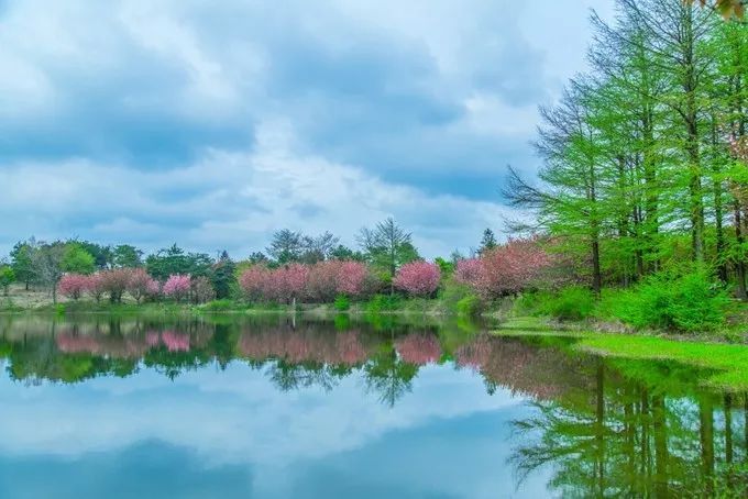 宁波四明山山水图_宁波四明山的风水布局_宁波有四明山吗