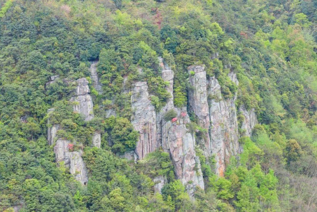 宁波四明山的风水布局_宁波有四明山吗_宁波四明山山水图