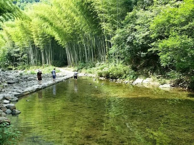 宁波有四明山吗_宁波四明山山水图_宁波四明山的风水布局