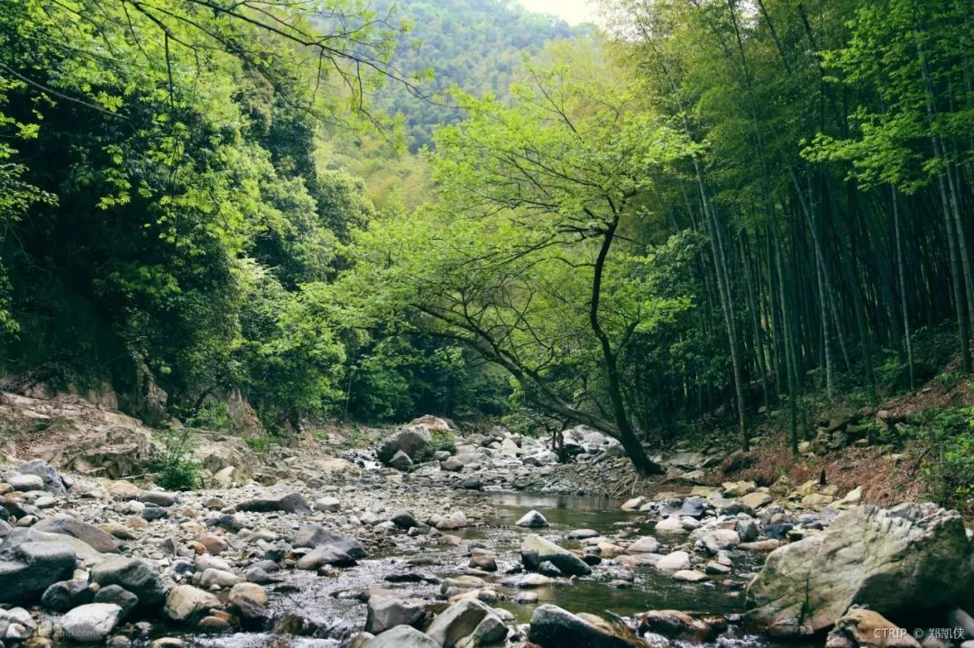 宁波四明山山水图_宁波四明山的风水布局_宁波有四明山吗