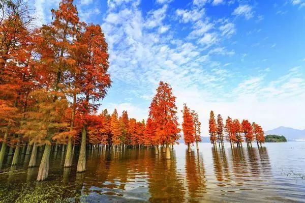 宁波四明山的风水布局_宁波有四明山吗_宁波四明山山水图