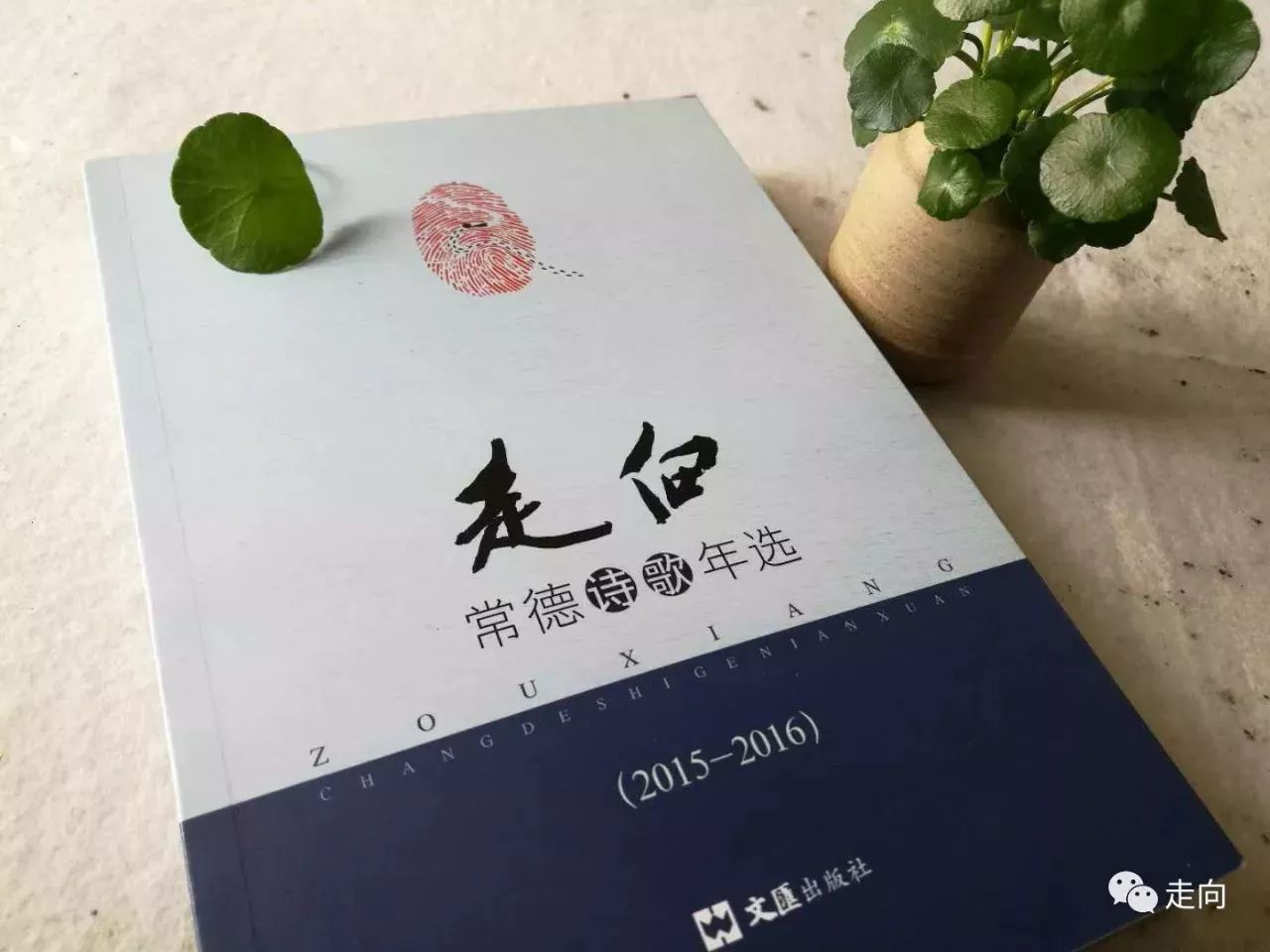 中医学的基本特点是什么意思_中医学基本特点概括起来是_纯文学中医学的特点是什么