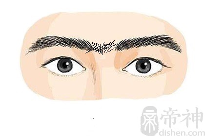 眉毛面相粗短男人好不好_眉毛短粗男人面相_眉毛粗短的男人面相