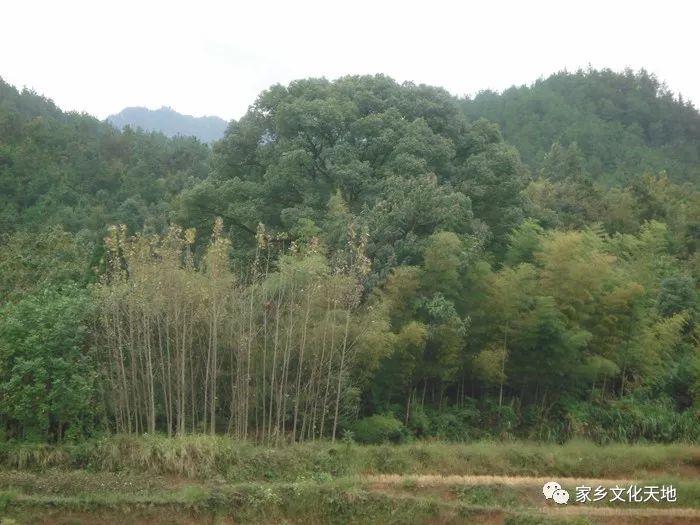 希腊的神话和传说_唐家山的神话传说_山神话