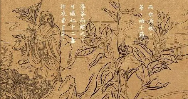 神话传说歌曲粤语_神话传说粤菜图片_粤菜神话传说