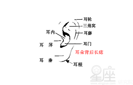 无鬓毛的女人面相_面相女人无鬓毛代表什么_面相女人无鬓毛好不好