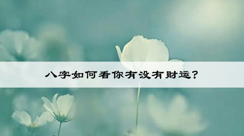 八字如何看你有没有财运?