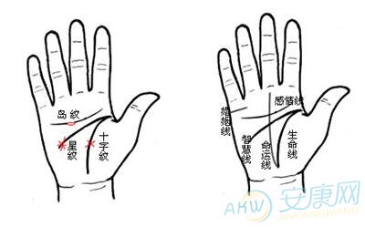 民间传秘手相面相大全：勤俭持家乖乖牌