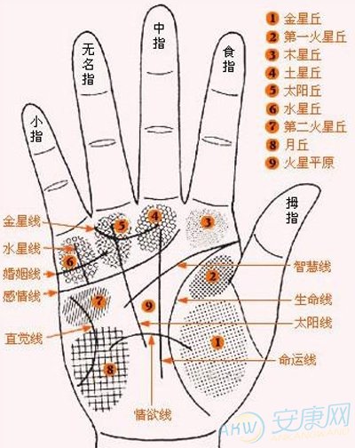 手相面相r_面相手相入门的书籍_面相手相入门书