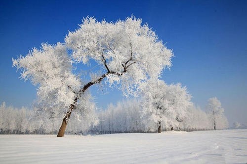 周公解梦冒着大雪行走_梦见大雪出行_梦见顶风冒雪前行