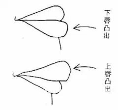 面相学图解女人嘴唇_面相嘴巴图解_面相中嘴唇代表什么